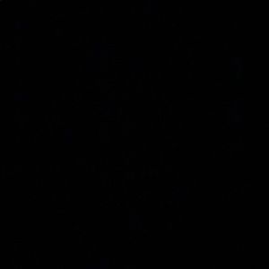 Meet your Posher, Allyson